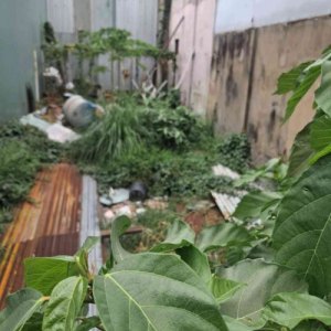 [DP140*] Hiếm! Đất MT 86m2 nở hậu cạnh Chợ Lạc Quang Giá 8.x Tỷ