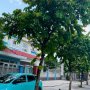[DP144*] MT Sầm Uất Song Hành Đ.Hưng Thuận 7.x Tỷ