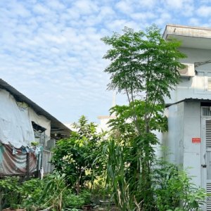 [L3037*] nền đất đẹp Đ. 59 An Hội Tây, cạnh Chợ Thạch Đà, 7.x Tỷ