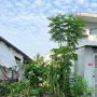 [L3037*] nền đất đẹp Đ. 59 An Hội Tây, cạnh Chợ Thạch Đà, 7.x Tỷ