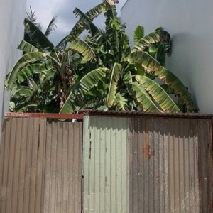 [DD173*] Đất 1/ Vườn Lài gần Cầu Sắt APĐ, hẻm ô tô, 6.x tỷ