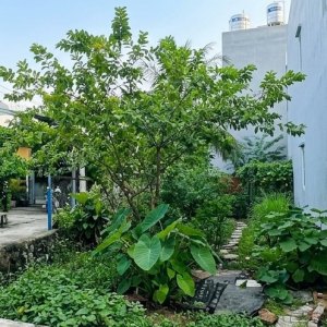 [DD181*] Đất Trống Xây Mới cạnh QL1 An Phú Đông, Giá 3.x Tỷ