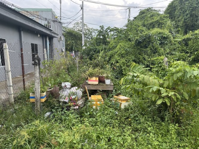 [DP180*] Đất hẻm ô tô KP1 An Phú Đông Q12, 8.x tỷ