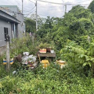 [DP180*] Đất hẻm ô tô KP1 An Phú Đông Q12, 8.x tỷ