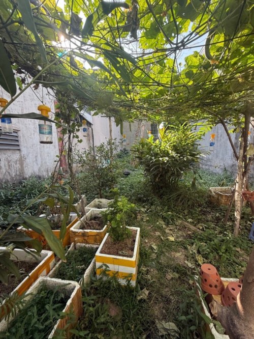 [DD185*] Lô đất 83m² đất vuông vức gần Ngã Tư Ga, 4.x tỷ