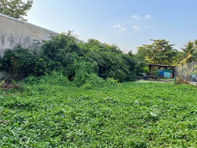 [D3127*] Rẻ bất chấp, đất 656m2 (15x44m) vuông A4 cạnh Chợ Nông Sản QL1A, 3x tỷ