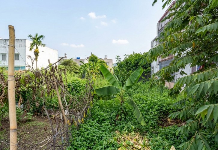 [KH207*] Nhanh Tay Đất hẻm XH SHR Thạnh Lộc 29 Chỉ 4.x tỷ (X nhỏ)