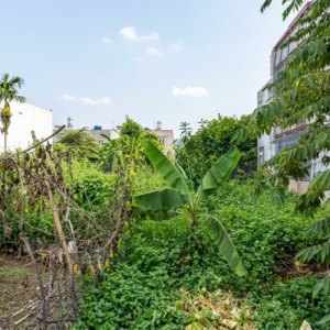 [KH207*] Nhanh Tay Đất hẻm XH SHR Thạnh Lộc 29 Chỉ 4.x tỷ (X nhỏ)