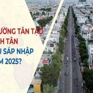 BĐS Phường Tân Tạo 2026: Khi "thủ phủ công nghiệp" hóa rồng nhờ hạ tầng xuyên tâm