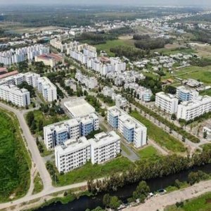Bất động sản Xã Bình Hưng 2026: Khi ranh giới giữa Huyện và Quận xóa nhòa