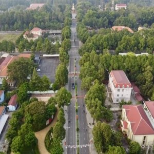 Đất Phú Giáo 2026: Đã qua thời "mua rẻ để đó", giờ là lúc hái quả ngọt!