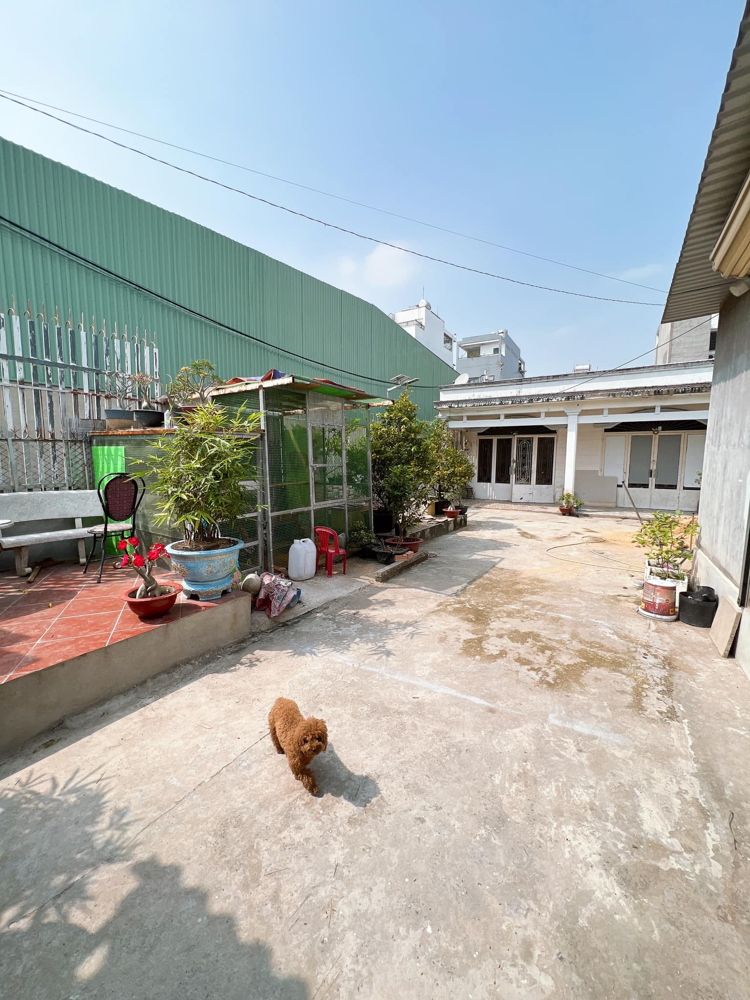 Bán nhà Vườn Lài P. An Phú Đông Quận 12, Ngang 8m, giảm giá còn 8.x tỷ